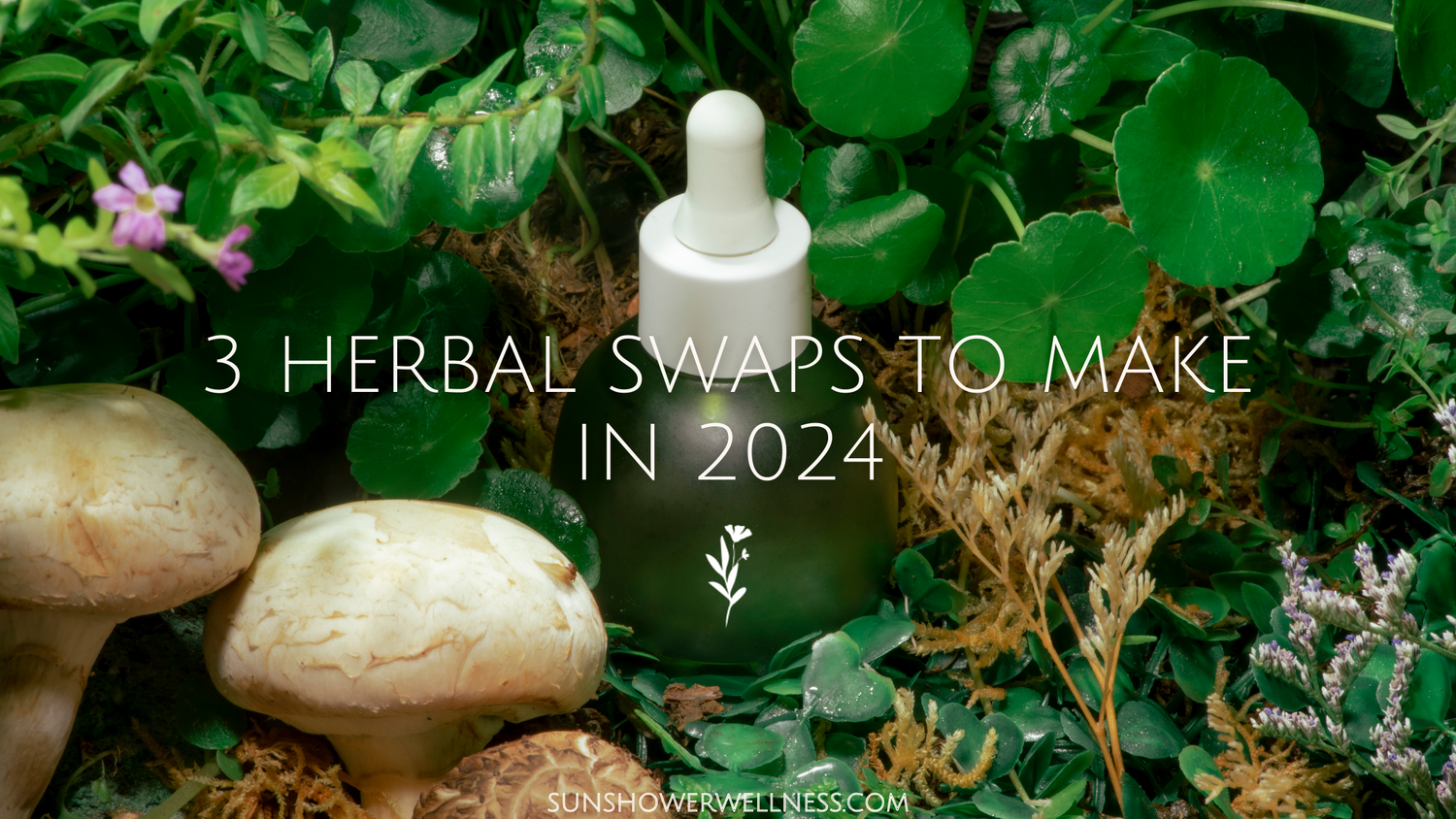 3 Easy Herbal + Botanical Swaps for 2024